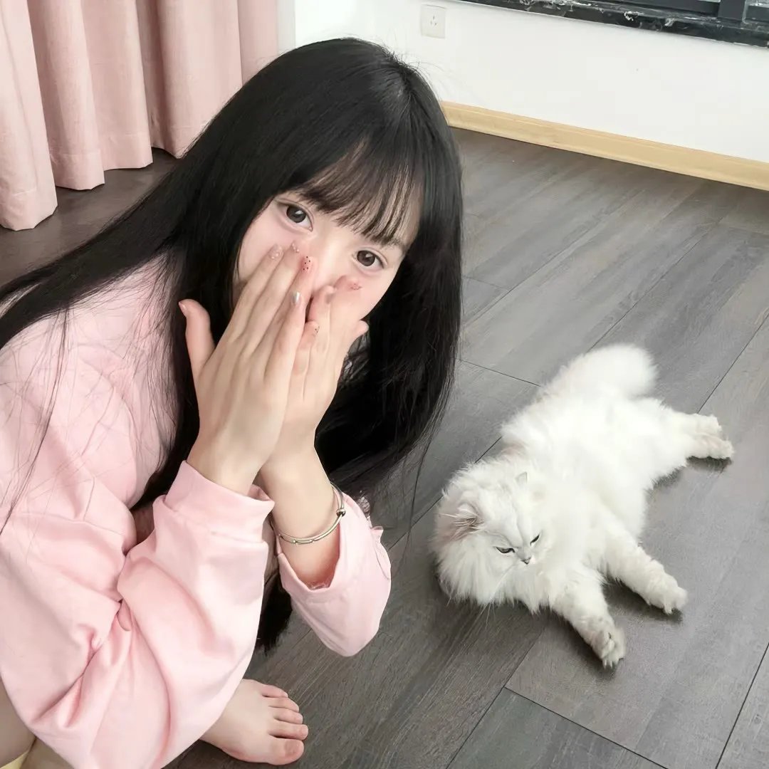 芙蓉春色